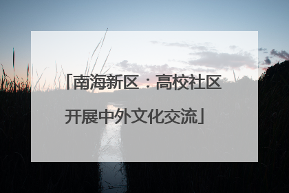 南海新区：高校社区开展中外文化交流